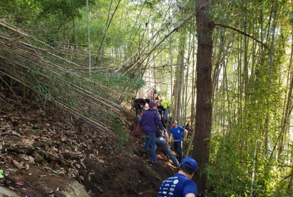 Trail Building Basics